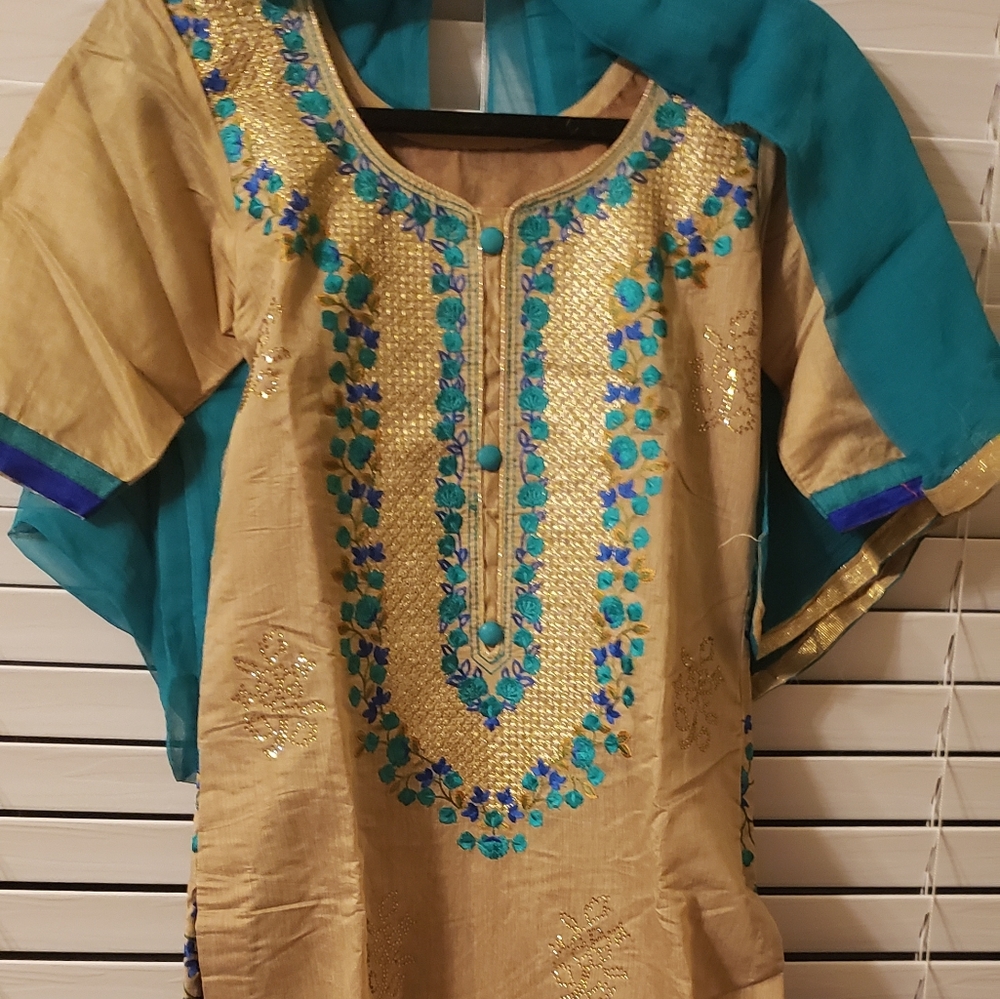 Indian/ Punjabi suit